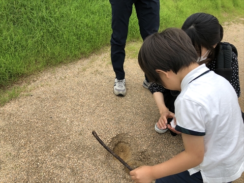 土戻し